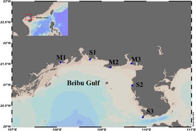 The heterogeneity of microbial diversity and its drivers in two types of sediments from tidal flats in Beibu Gulf, China